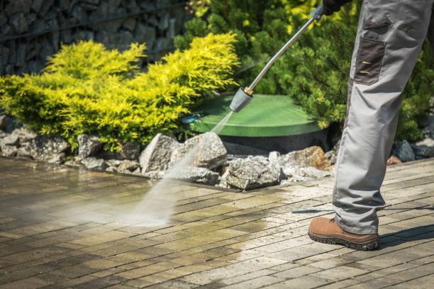 Pre-Holiday Cleaning in Nedrow, NY